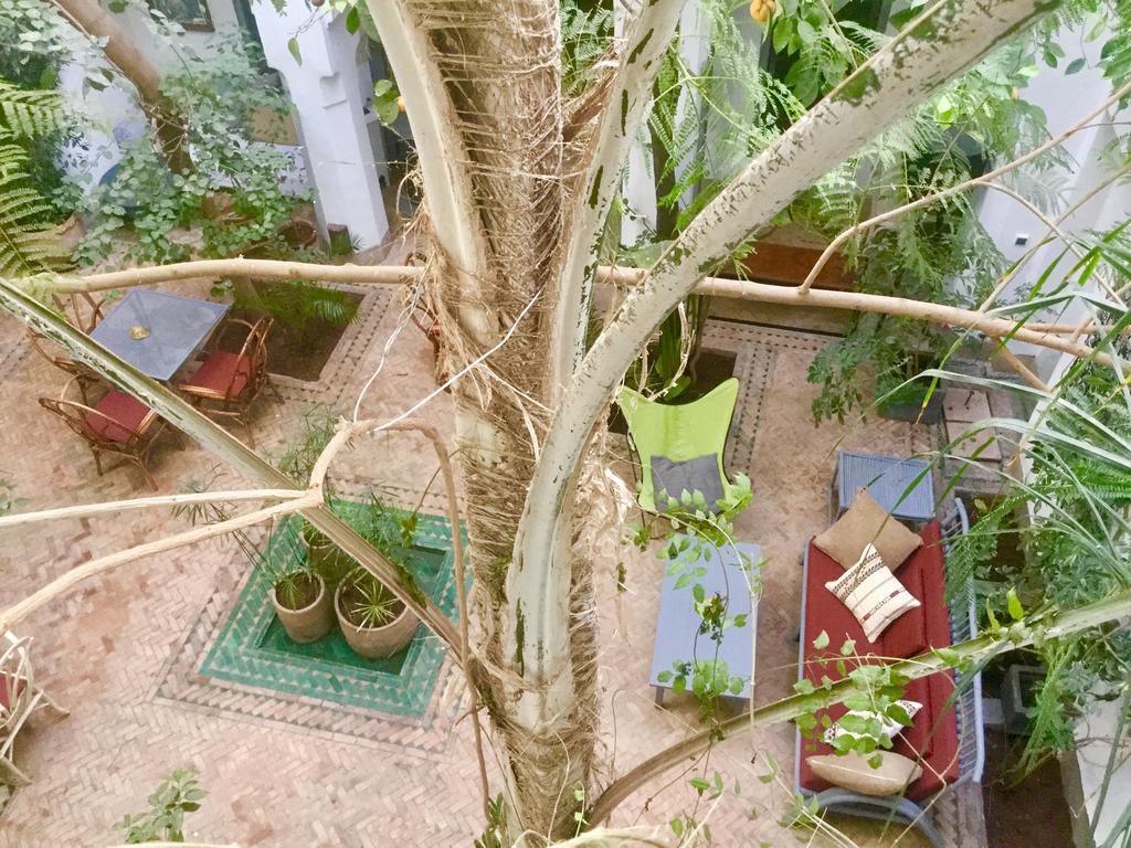 Riad Dar Binebine Marrakesch
